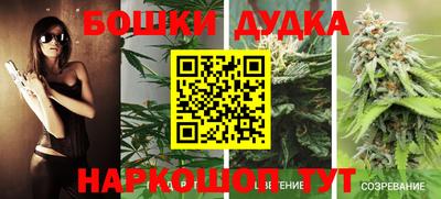 mdpv Кингисепп