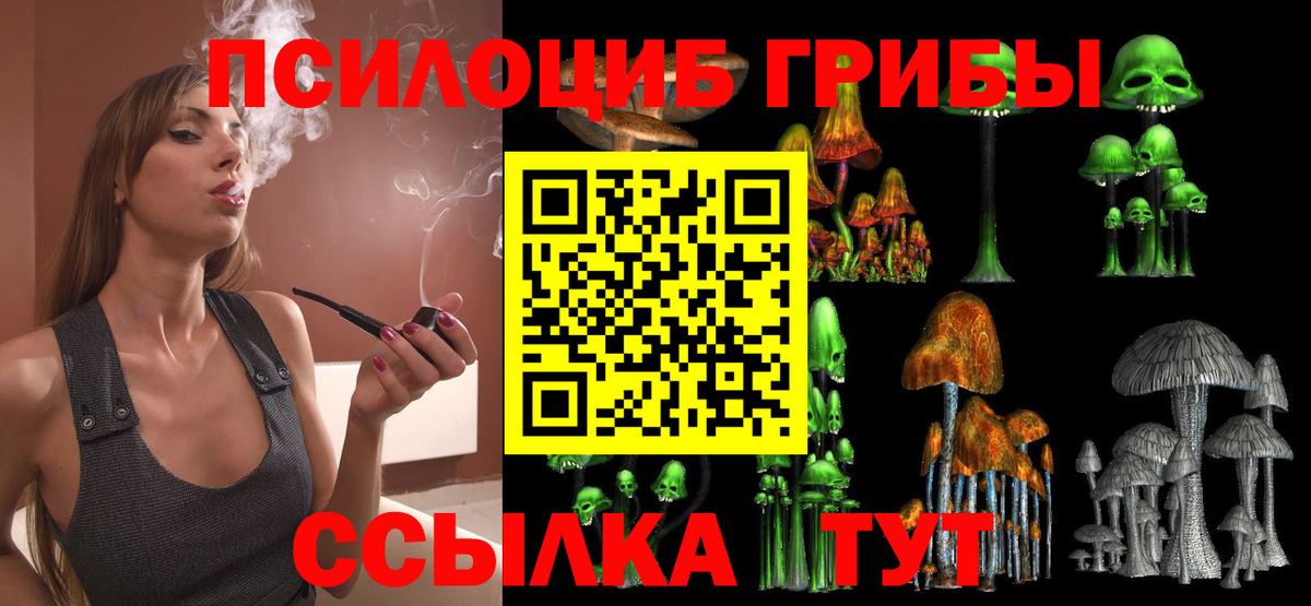 Кувандык  Псилоцибиновые грибы GOLDEN TEACHER  закладки  Вход с VPN 